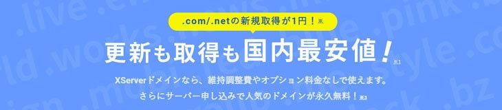 Xserver ドメイン