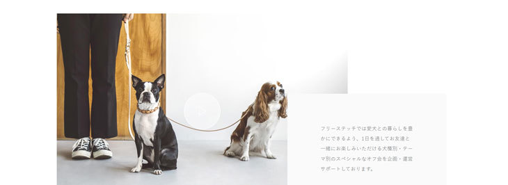 ペット情報