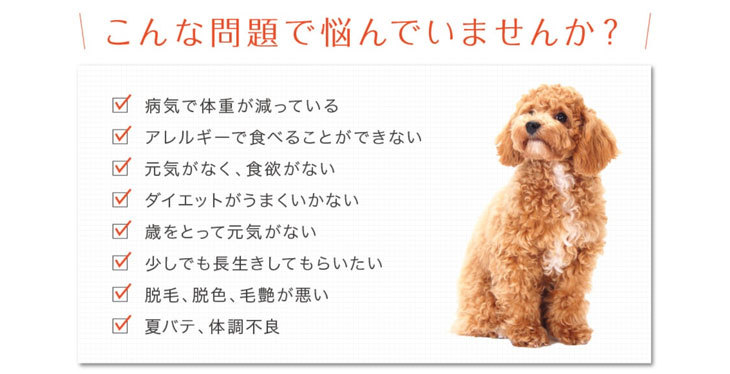 馬肉パラパラミンチ