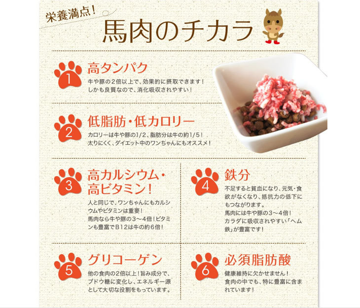 パラパラミンチ